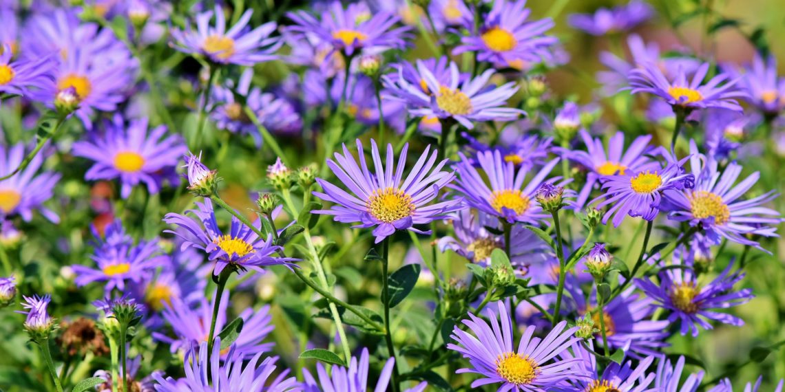 Prélèvement à la source : le taux neutre